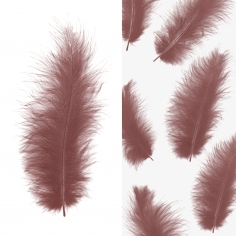 Перья Ретро Какао